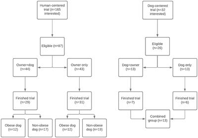 Evaluating the Potential Benefit of a Combined Weight Loss Program in Dogs and Their Owners